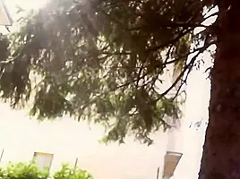 Dirty diaper in the garden - StepDaddy want to play an outdoor dirty game