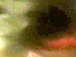 Кончил в сестру ( Finished in the sister )