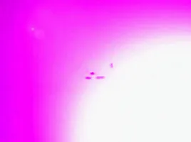 Sexy MILF Fucks Her Stepson