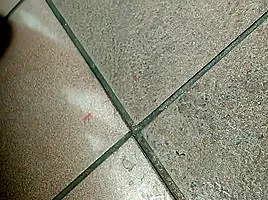 StrangerwithFishypeniscomestogetyou djfullproof fishy alien balls hoy admon