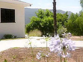 stepbrother console footjob