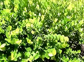 Crazy porn scene Blonde greatest pretty one