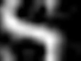 attending my sister in law