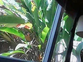 Crazy xxx clip Step Fantasy fantastic , it's amazing