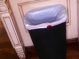 Daddy, What Can I Do For Money?- Lilly Ford