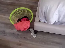 My MILF stepmom caught me playing with her panties