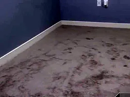 When mom and dad are out