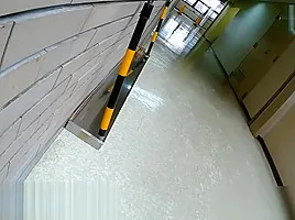 Public learning reading room videotap beautiful young girl sister pit hush