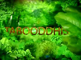 My stepsisters are drunk