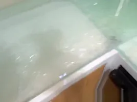 Jasmine Vega In My Pervy Narc Stepdad 1