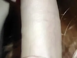 Elegant Blowjob In The Twilight From The Stepsister